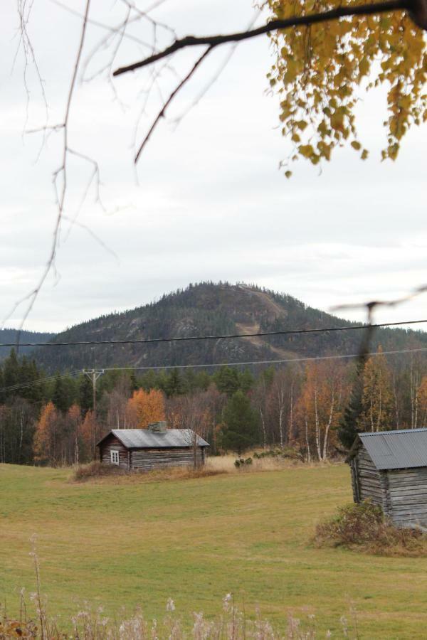Backens Fjaellboende Tännäs Extérieur photo